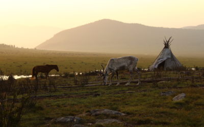 Passaggio in Mongolia