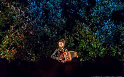 Musica in Villa 2019-il video